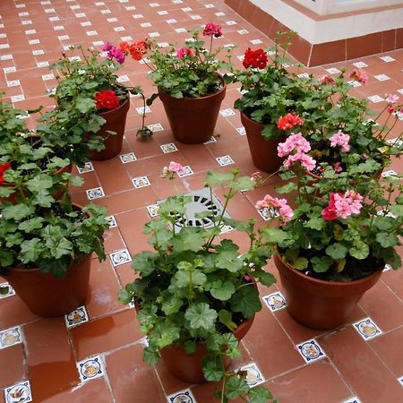 Apartamentos Las Cruces Sevilla Eksteriør billede