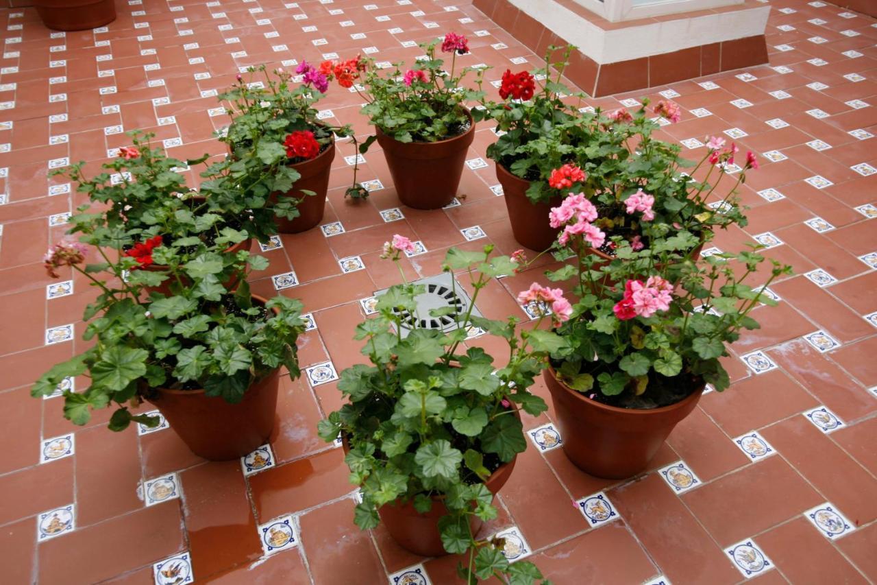 Apartamentos Las Cruces Sevilla Eksteriør billede