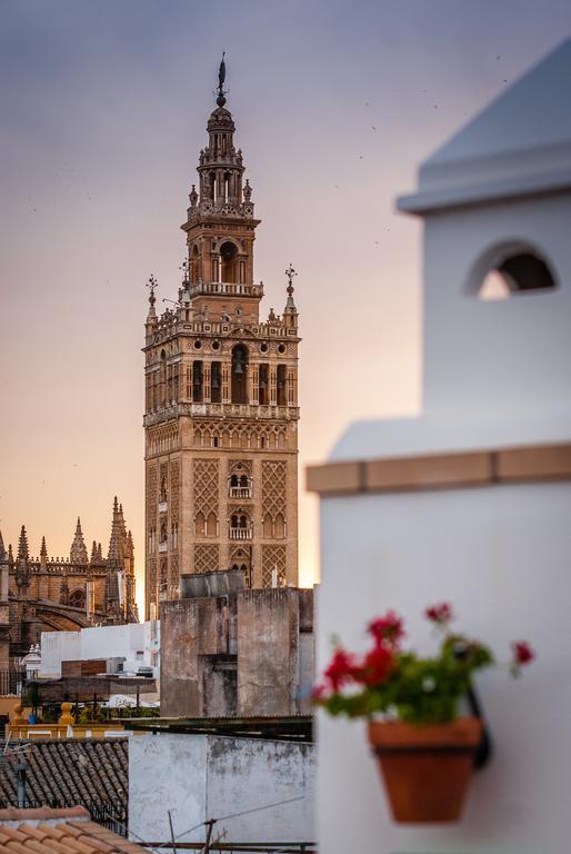 Apartamentos Las Cruces Sevilla Eksteriør billede